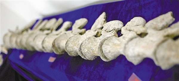 ����������ʯ