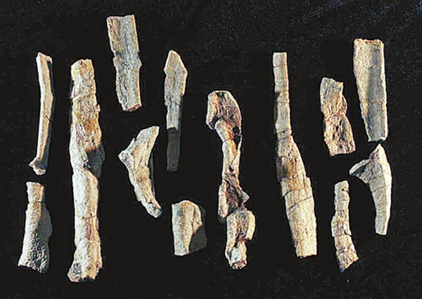 ����������ʯ