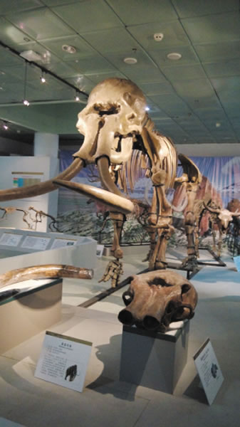 �������ڴ���������������