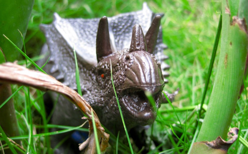 ���ô���ݻ�ʯ�м�������������������