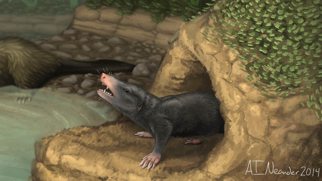 ��֪����ĵ�Ѩ�Ͳ��鶯���ָ�ھ������޸�ԭͼ