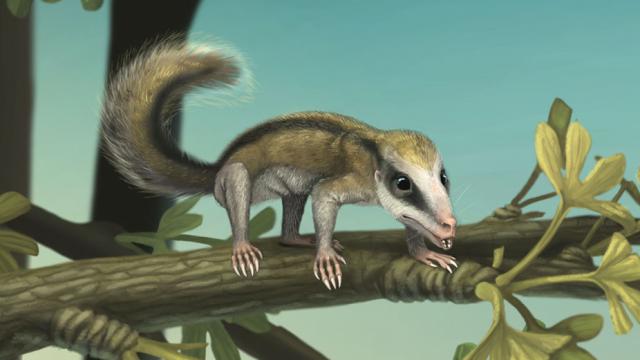 ��֪����������Ͳ��鶯���Ԯ���������޸�ԭͼ