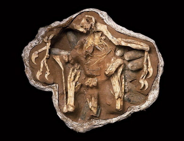 �Ե��������Լ��ĵ�