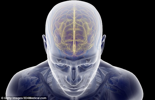 ��ѧ�ҷ��֡�ARHGAP11B��������������Խ����з����˹ؼ�����