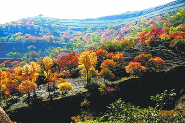 �й���һ���ʯ�������ظ��໪���ص�ò