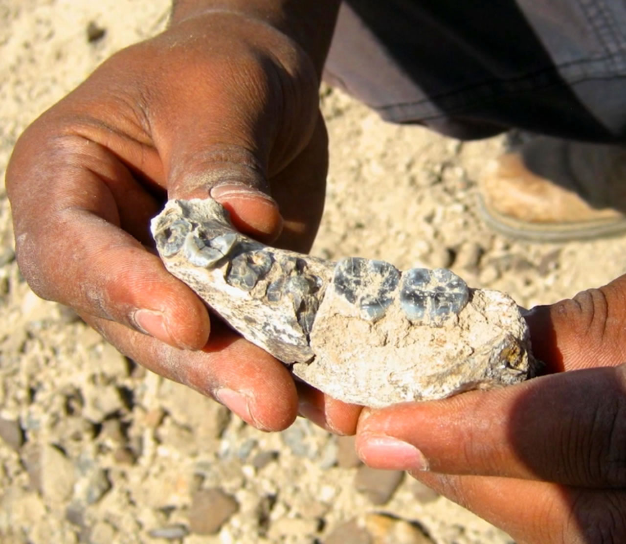 ���Ƿ��������������ʯLD 350-1 ���д�������ʷ