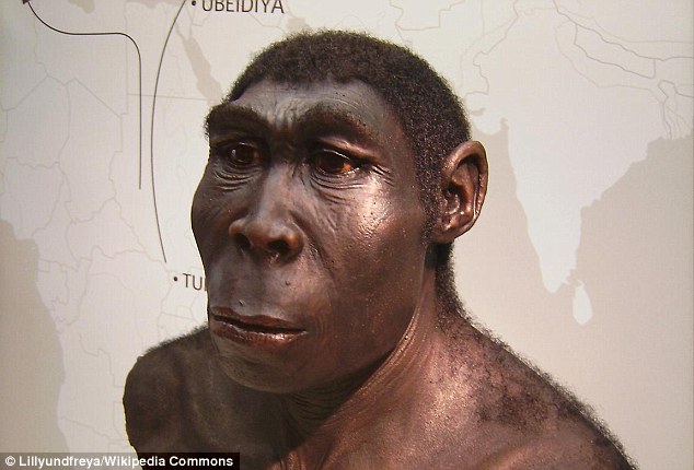 ����������ѧ�������о���ʾ��������������๷һ���ĸ�ʳ��