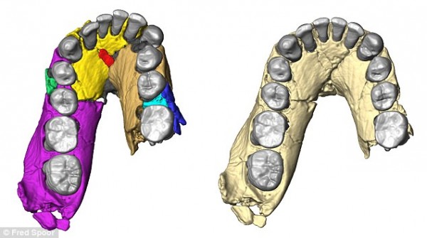 LD 350-1���ǻ�ʯ�����ؽ�