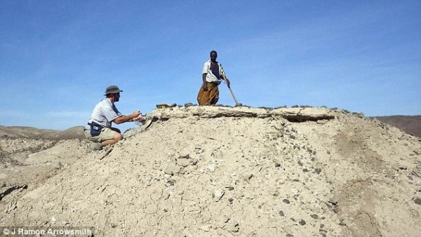 ������ѧ���ڷ����ֳ�