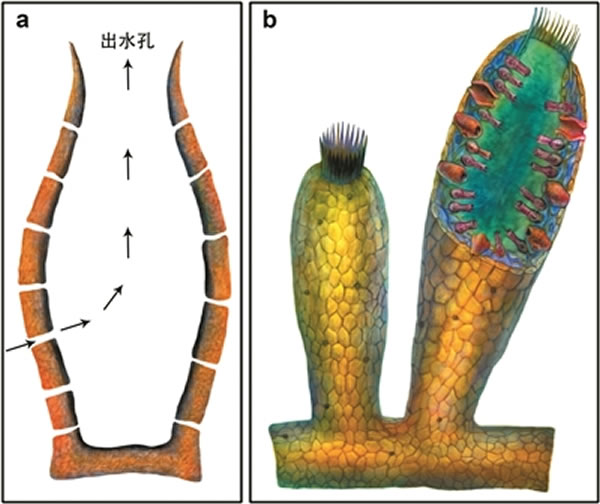 ����ġ�ˮ��ϵͳ��