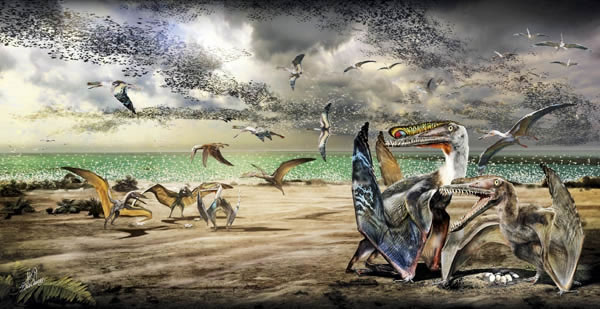 �Դ����ƵĹ������������