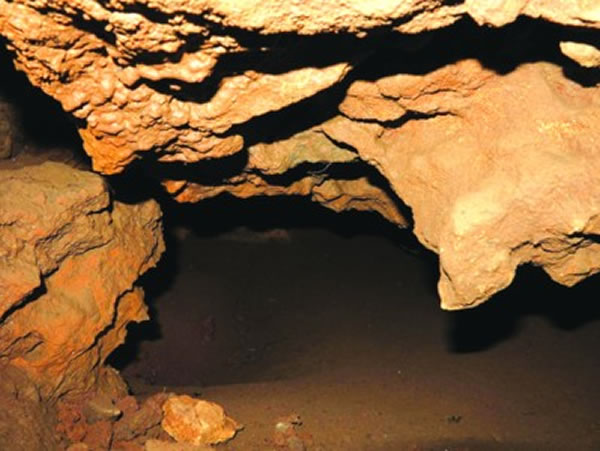 ���������õĻ�����