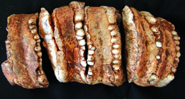 �������������ݻ�ʯ