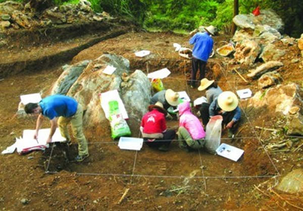 �����ֳ�