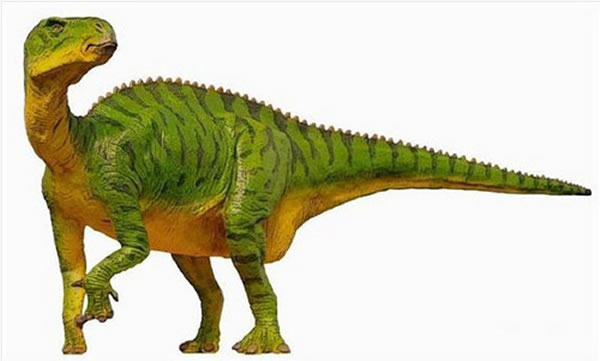 新品种恐龙“Koshisaurus Katsuyama”的复原图