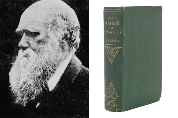 ��������ѧ�����ɴ���Ľ�����