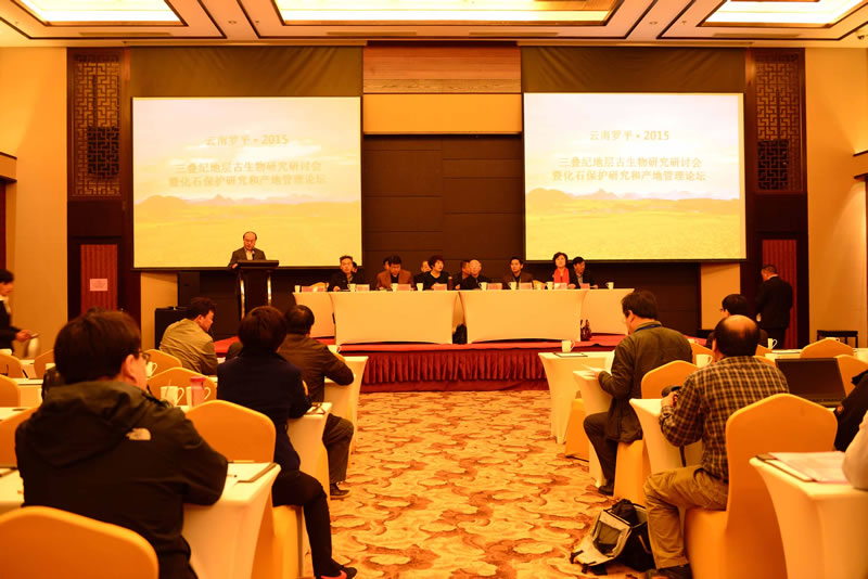 �������͵ز�������о����ֻ��߻�ʯ�����о��Ͳ��ع�����̳��������ʡ��ƽ�ؾٰ�