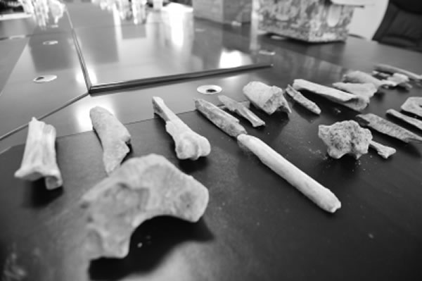 ����ͨ���ش�����ʮ�����������ַ�����󰲶�Ѩ��ַ