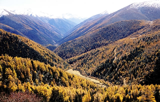 香格里拉自然景观