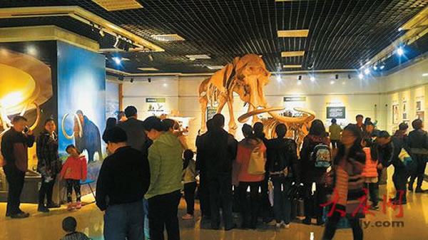 ���첩��ݡ��������ļͲ��鶯�ﻯʯ��ȫ��Ѳչ��������ʡ������