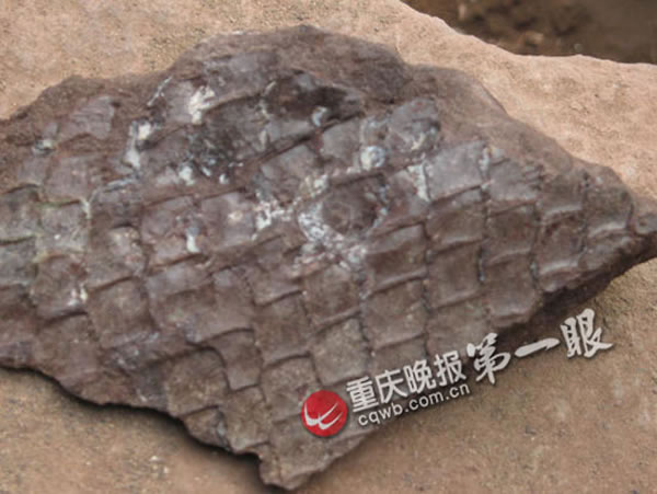 �۳������е��������֡����뽭������