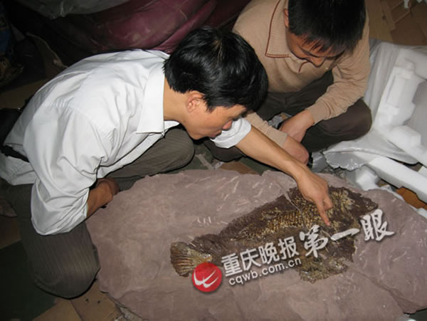 �۳������е��������֡����뽭������