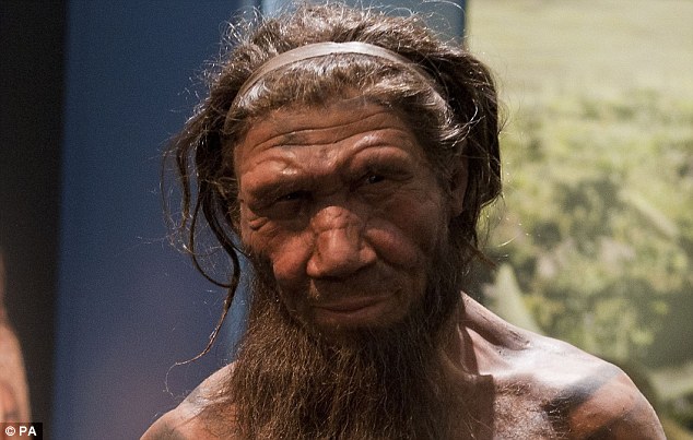 �ᰲ��������13����ǰ��ʹ��ӥצ�����������������