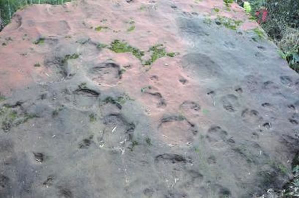 ר�ҳƣ����������ӡ������һ����ɱ����