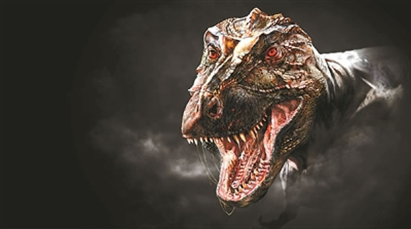 ������ 2014��