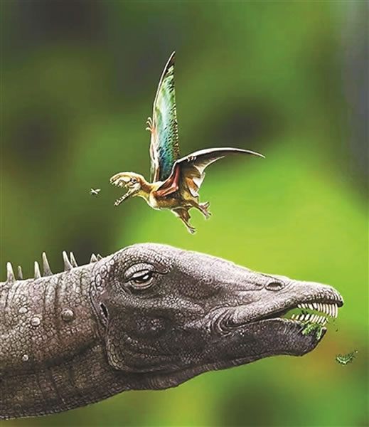 �������������� 2009��