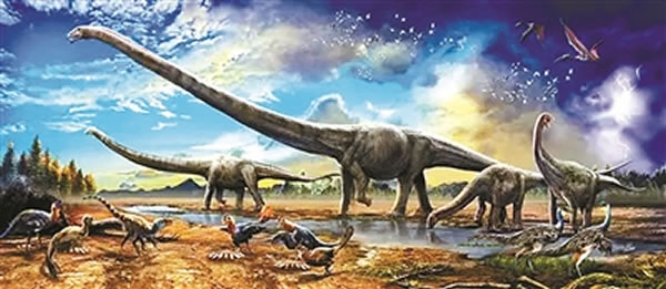 ��������Ⱥ