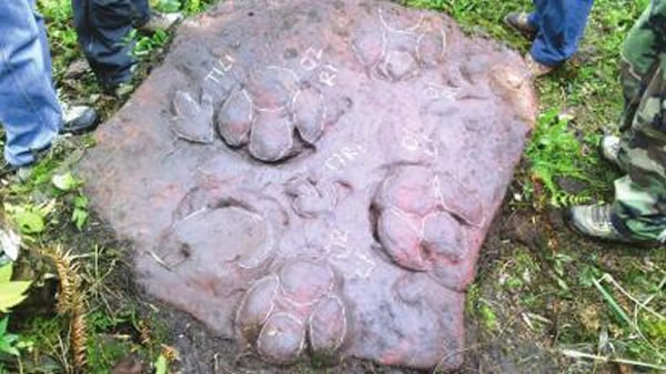 �ֳ����췢�ֵĿ����㼣����ģ����ʯ