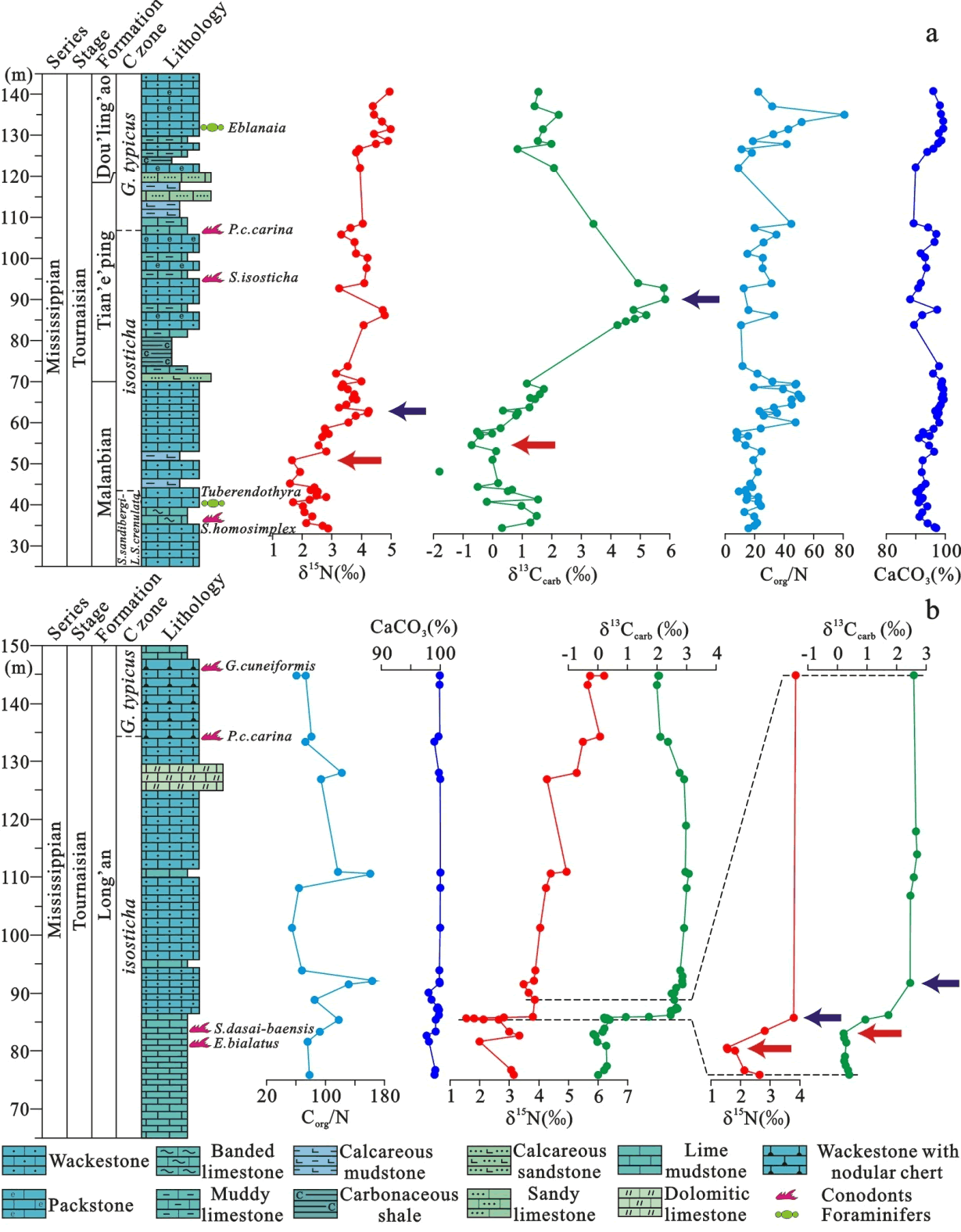 华南马栏边剖面(a)和隆安剖面(b)杜内期无机碳、氮同位素,碳/氮比和碳酸钙含量变化曲线图