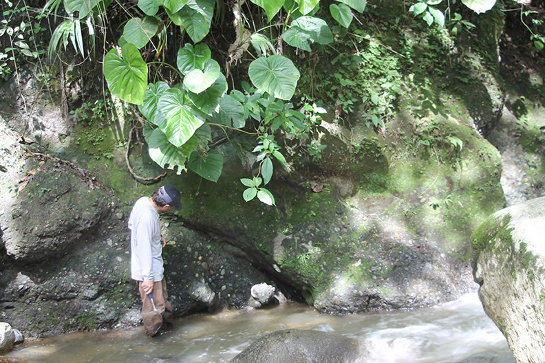 �����޺������ܱ��о���Ա��Ϊ���ݱ��·�ŵ�ʱ����Լ1000����