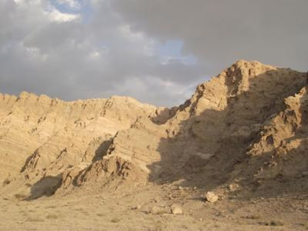 ͬλ�ؽ��͵���������ģ��������¼�