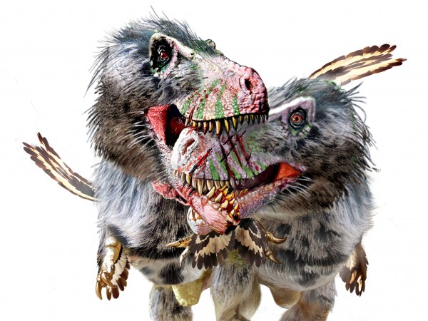 �������ı��ס�����������Լ���ͬ��