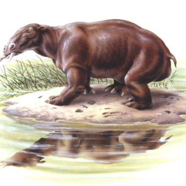 �����޸�ԭͼ