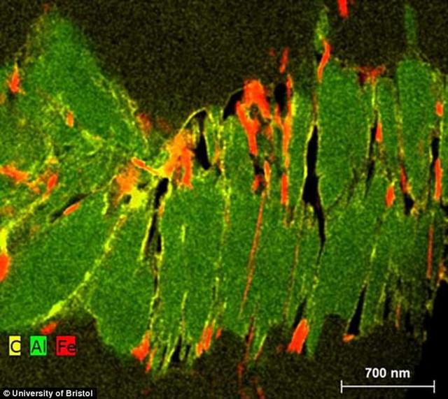 �����α��ʯ����Ƭ��������ɫ������̼����ɫ�����������Ӷ��γ��������ﻯʯ�ļ���