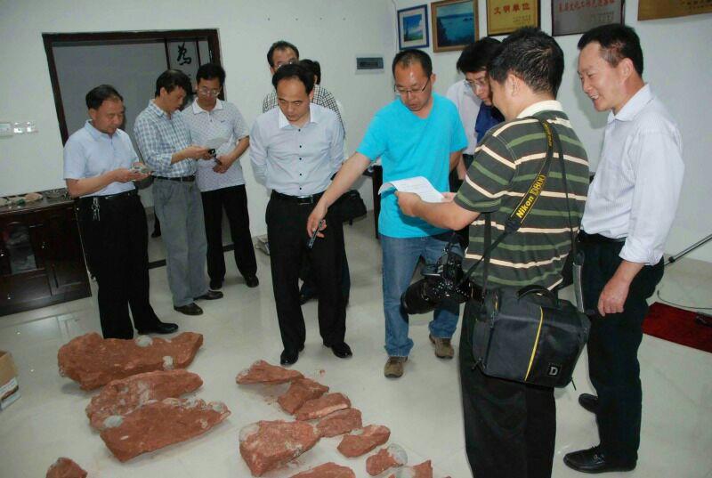 ������Դ�������鸰��Դ���������ʯ��Դ