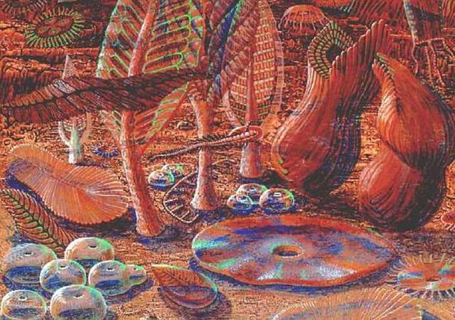 ������������ǰ��������������ﹲͬ�������ֿ��ܳ������Ĵ��ֺ͸��ӵ���ϵͳ