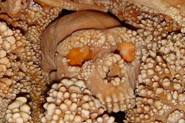 ����������з��ֵ������ź�ȷ��Ϊ15����ǰ���ᰲ������