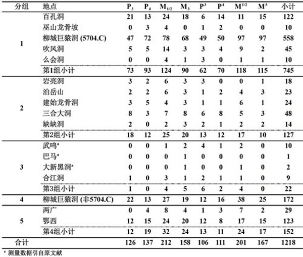 ��1 ����ʱ���ĵص���鼰���ص�����걾����