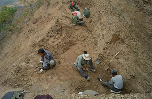 �п�Ժ�ż�׵������������о����Ÿ����о�Ա�����������ֵ���֯��Ұ�ⷢ���Ÿ��ɹ�ͼ��