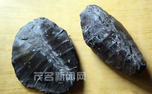 8Ѯ���˽��Լ���ص�������¶����ڳ���ï���޶ܹ껯ʯ�����������