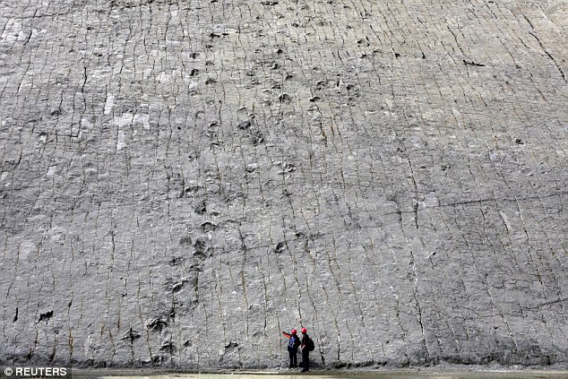 Ŀǰ������ά�ǿ��������ƹ�������ַ�������������Ŀ���·�������а�����462������·����5055����ӡ���Ƕ�����������������ģ����л�����С�������Ľ�ӡ������ѧ