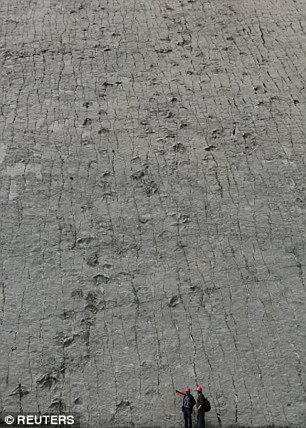 ��ͼ�Ƕ��ʹ�ֱ�ұ��ϱ����462������·����5055����ӡ������һЩ��ӡ����������δ֪�������֣�����ʷ��׷����0.68����ǰ��