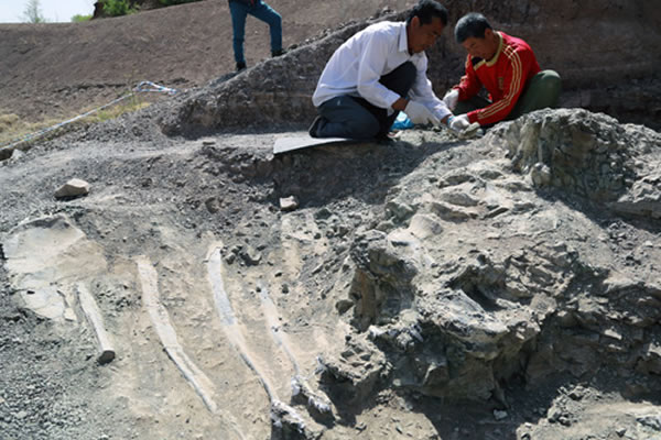 ����������Ʊ��������������������1.26����ǰ��������������ʯ