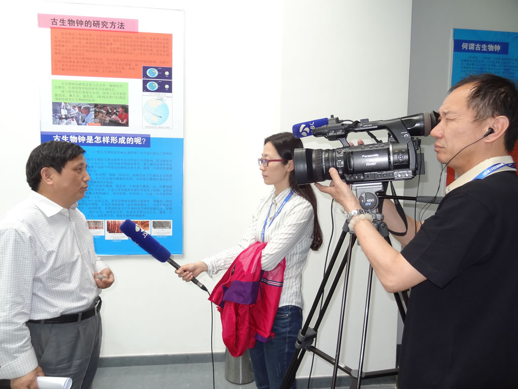 南京古生物博物馆推出“神奇的古生物钟”科普特展