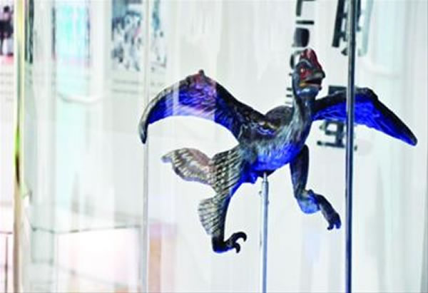 ��������Ϊʲô������˶�Ŀ�����