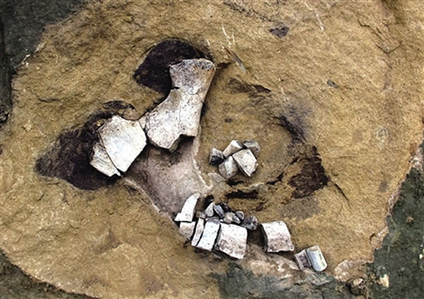 ����ͯ��Ϫ����巢�ֵĿ�����ʯ������ � ��